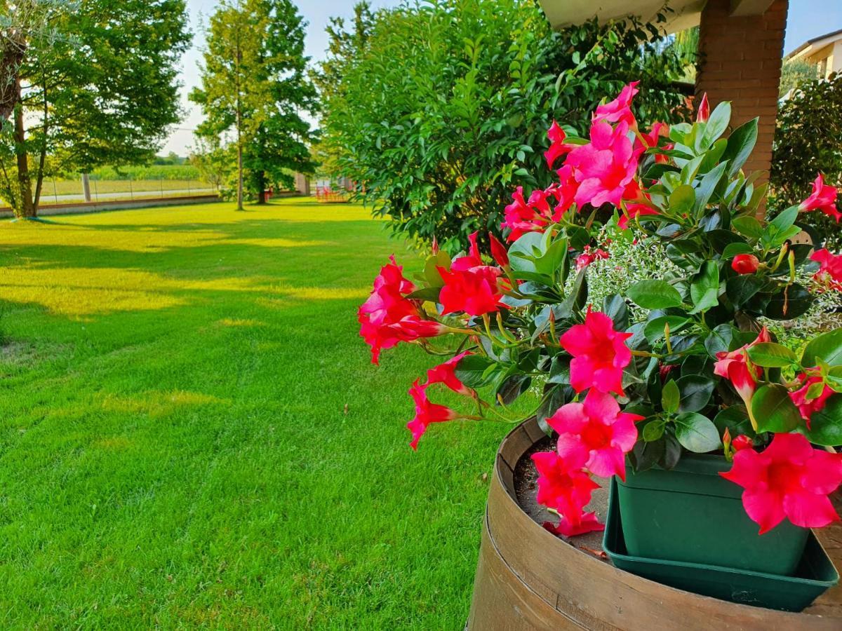 B&B Villalta Тревизо Экстерьер фото